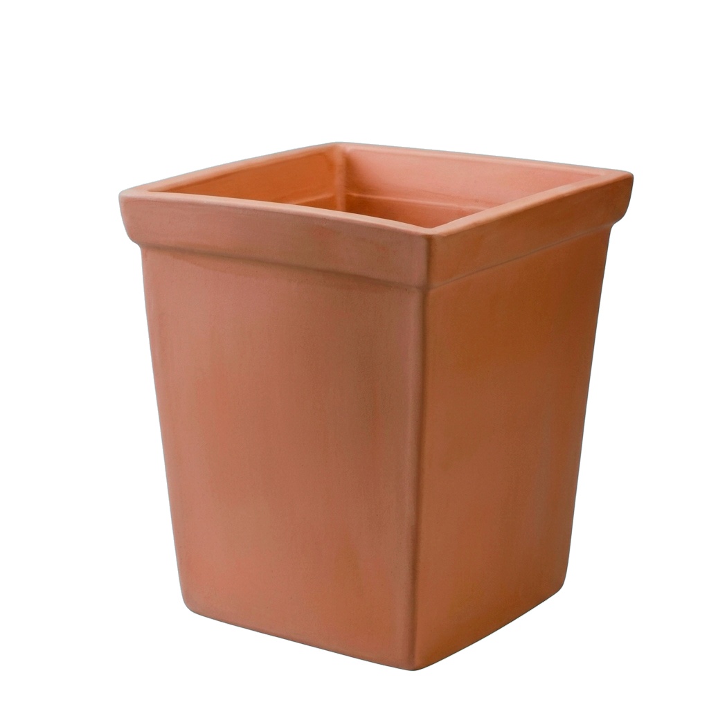 Vaso Argoncilhe