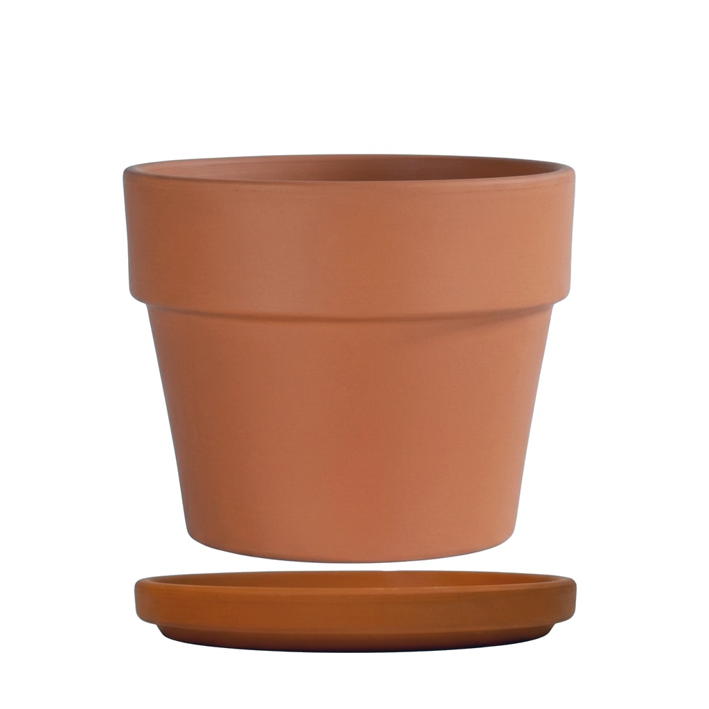 Vaso Caluna