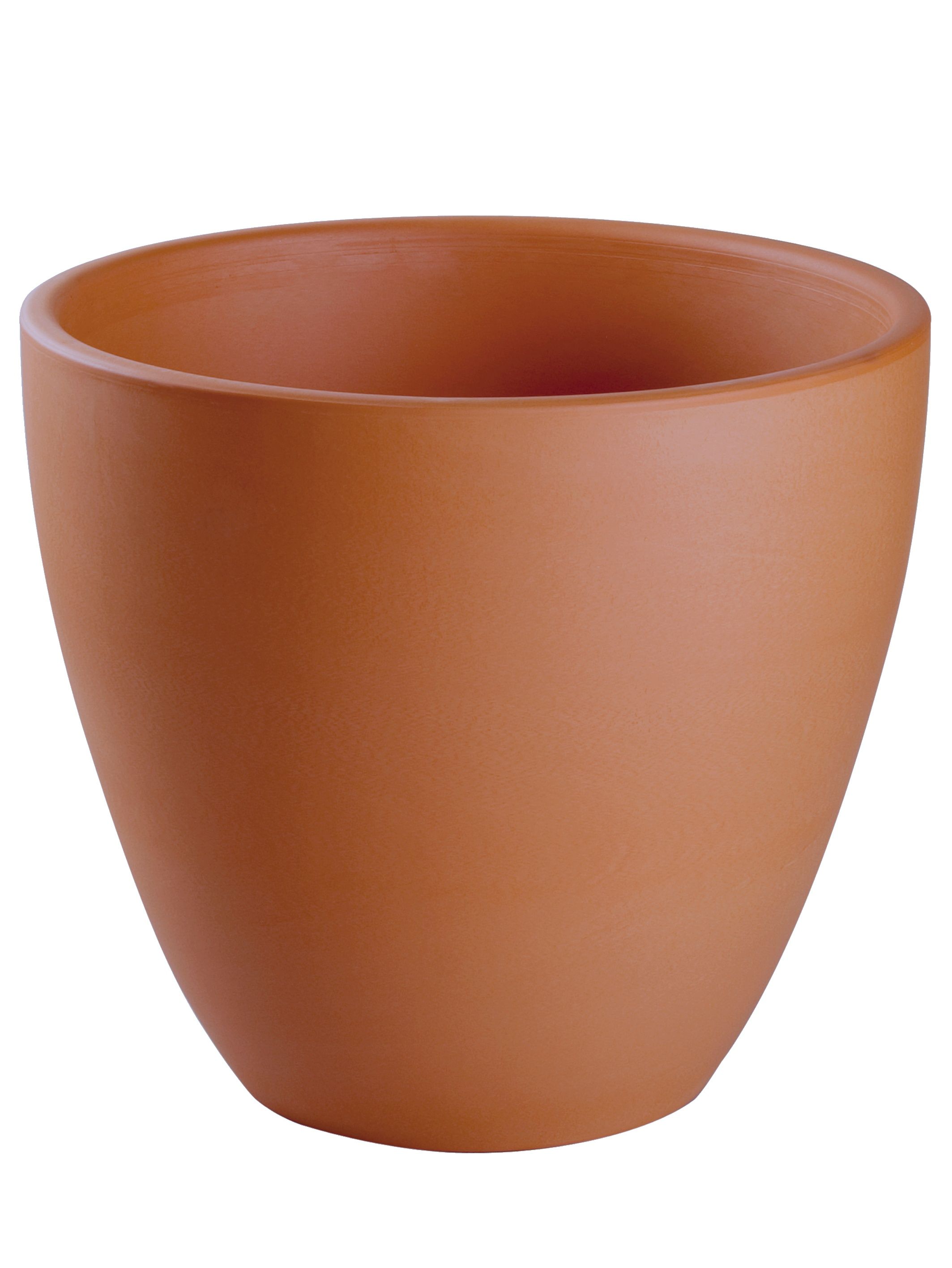 Vaso Tulipa