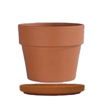 Vaso Caluna