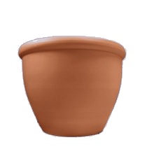 Vaso Íris