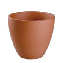 Vaso Tulipa