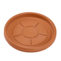 Prato