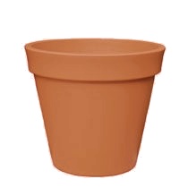 Vaso Standard
