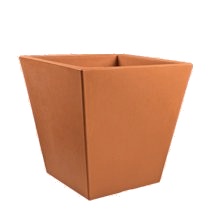 Vaso Camélia