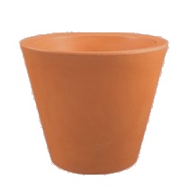 Vaso Margarida