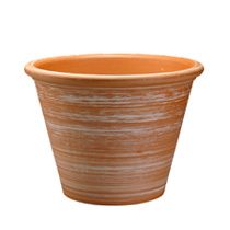 Vaso Clássico Rústico
