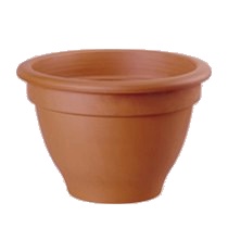 Vaso Campanola
