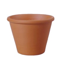 Vaso Clássico