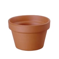 Meio Vaso
