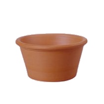 Vaso Mini Bordo