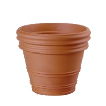 Vaso 800