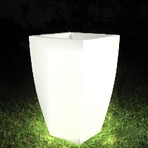 Vaso Orquídea