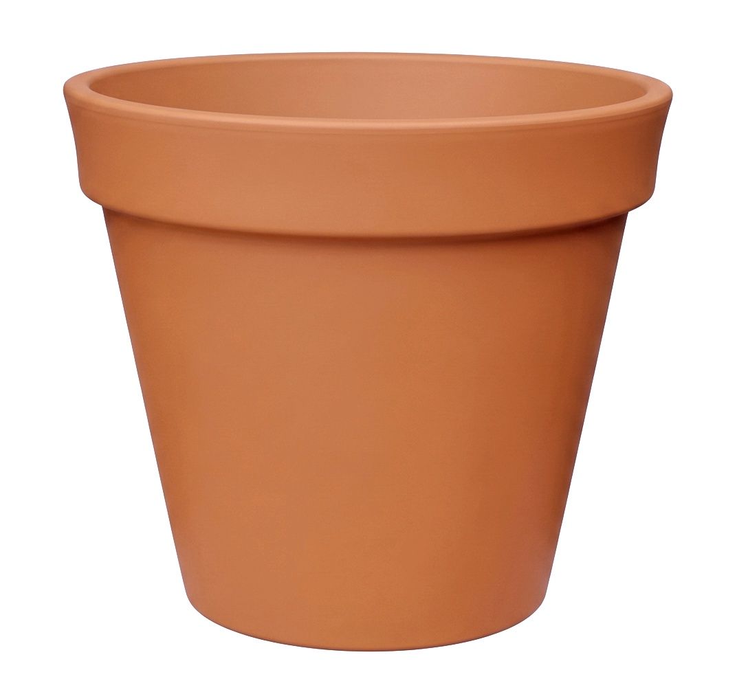 Vaso Standard