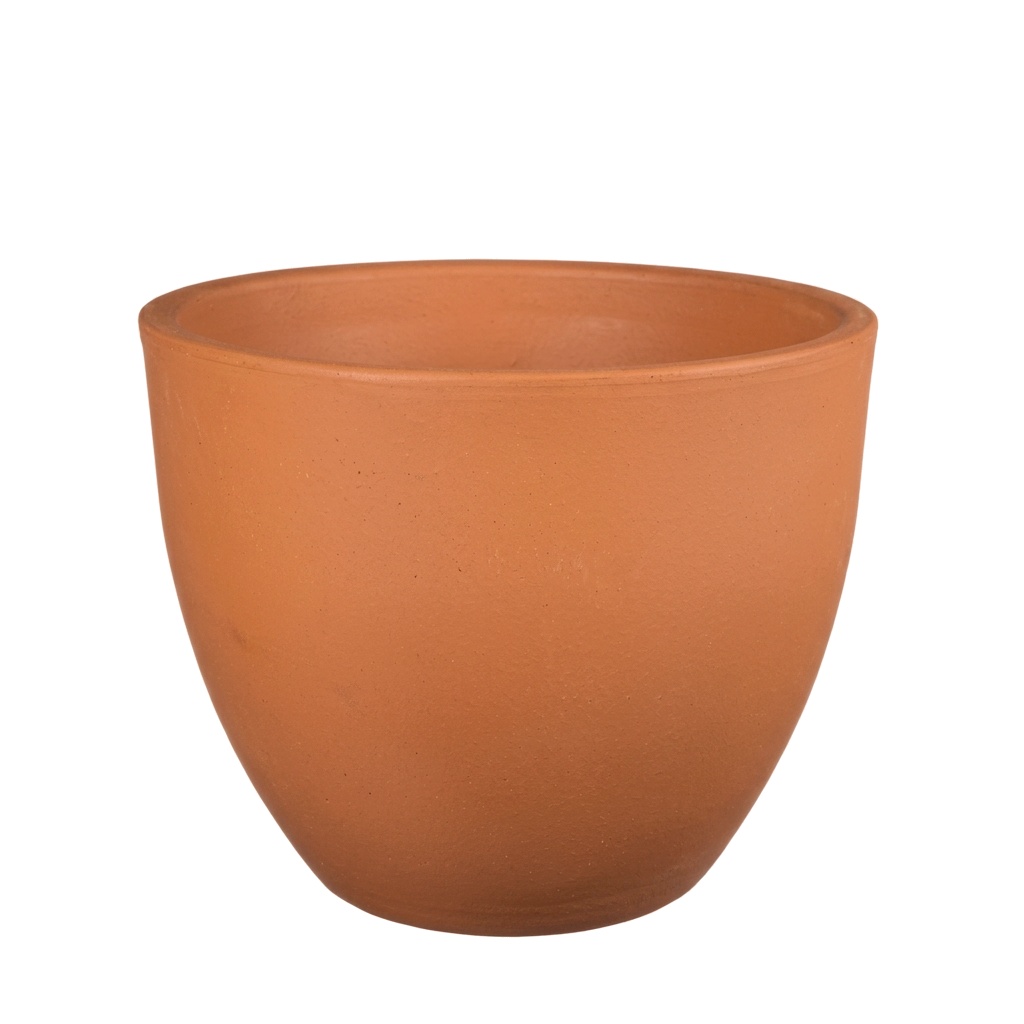 Vaso Tulipa