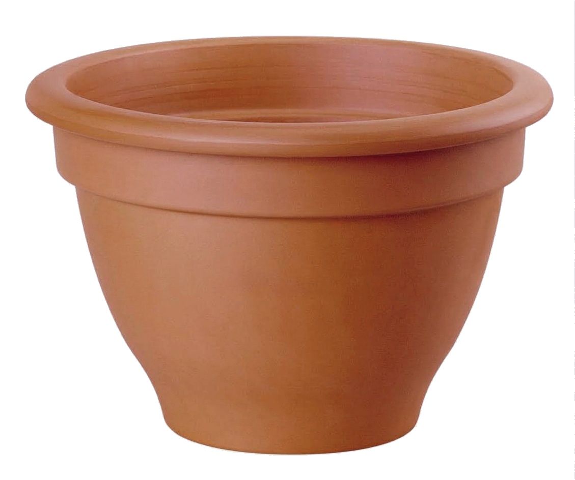 Vaso Campanola