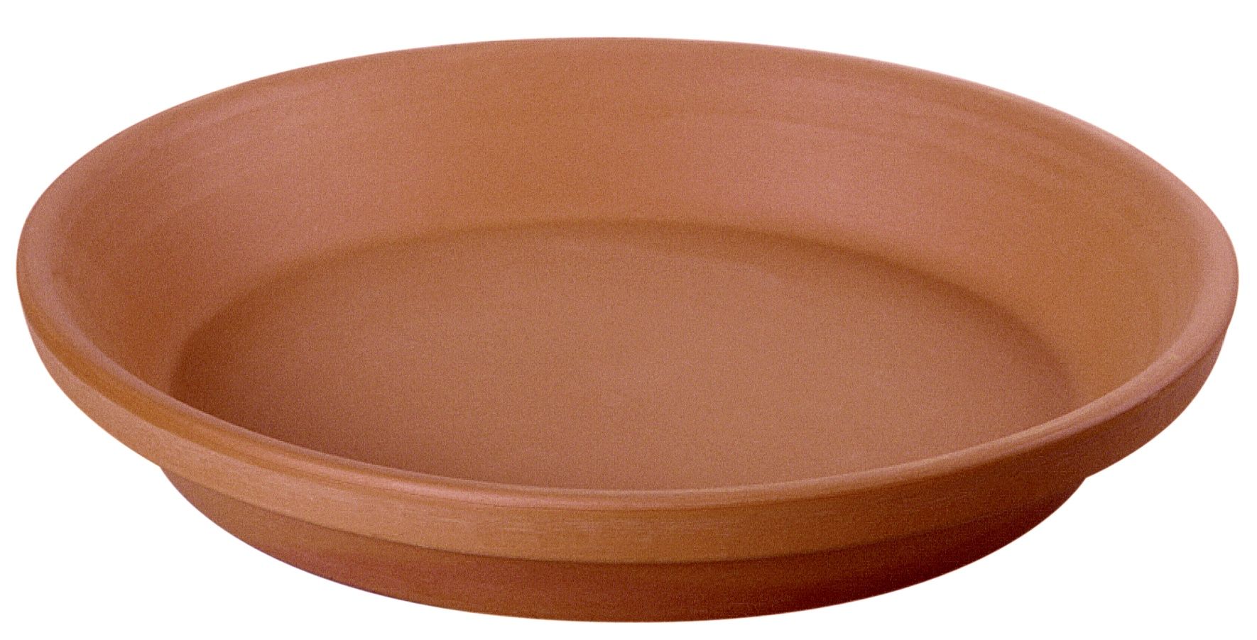 Saucer